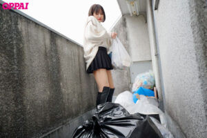 pppe00129jp-1
